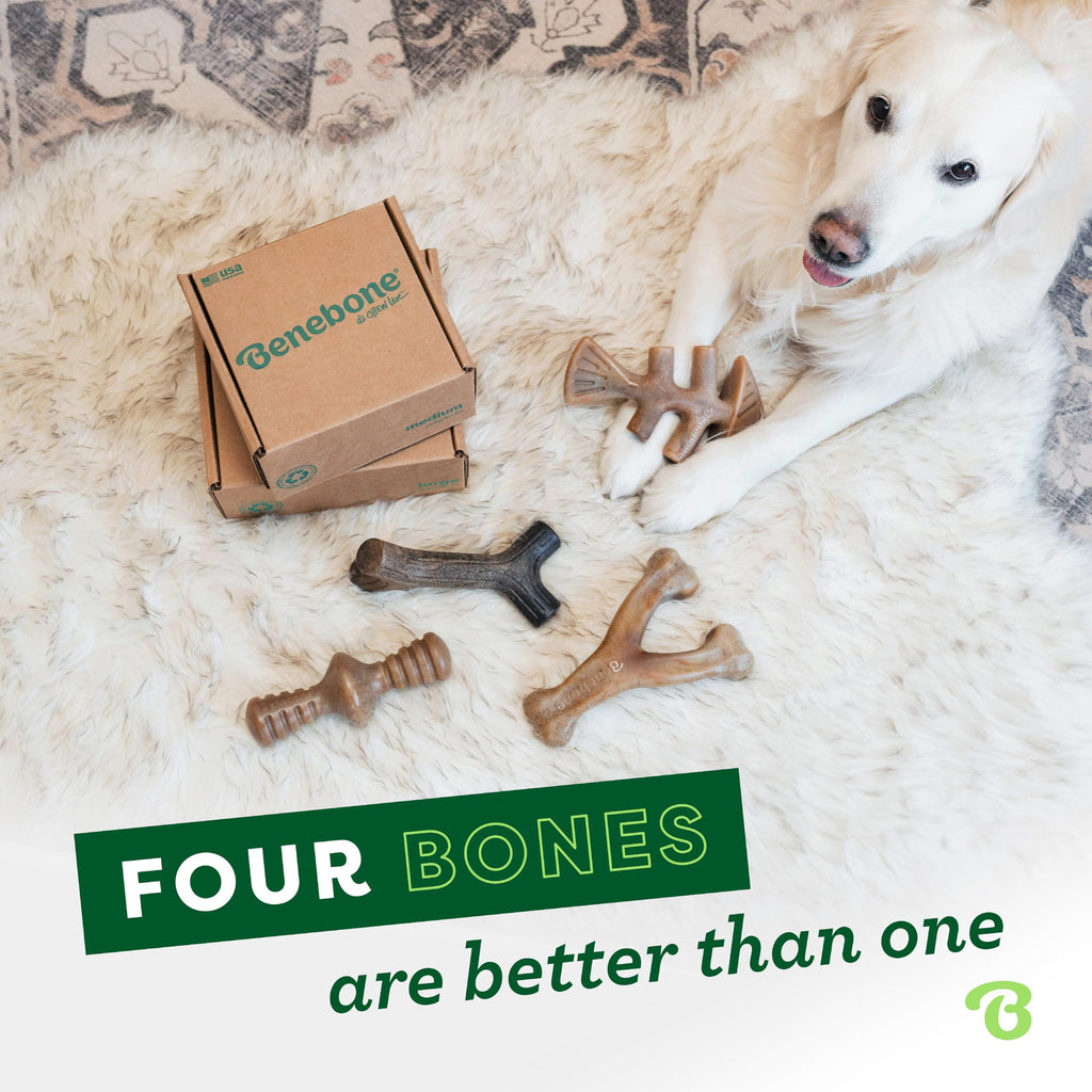 Benebone Medium 4-Pack Dog Chew Toys for Aggressive Chewers, Made in USA, 60lbs and Under