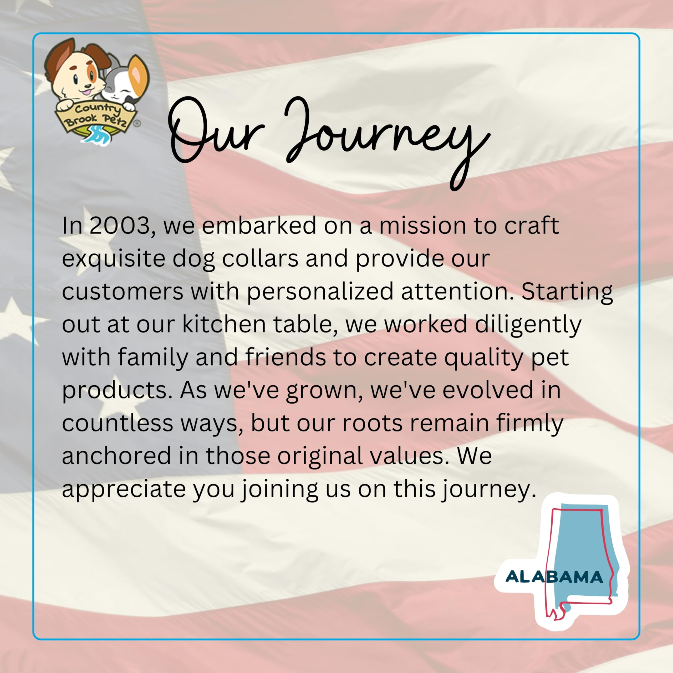 Country Brook Petz Premium Nylon Dog Collar with Metal Buckle for Small Medium Large Breeds - Vibrant 30+ Color Selection (Medium, 3/4 Inch, Black)