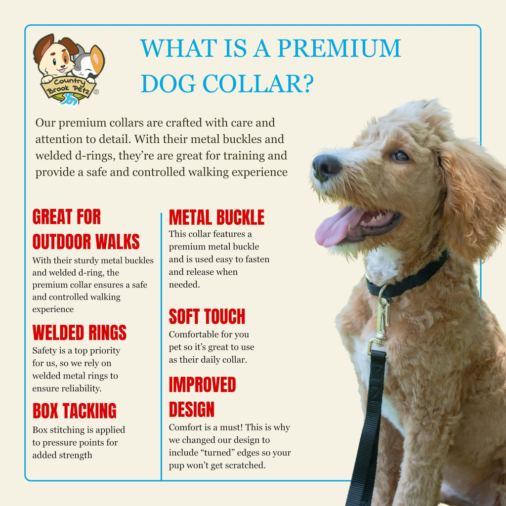 Country Brook Petz Premium Nylon Dog Collar with Metal Buckle for Small Medium Large Breeds - Vibrant 30+ Color Selection (Medium, 3/4 Inch, Black)